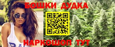 ПСИЛОЦИБИНОВЫЕ ГРИБЫ Янаул