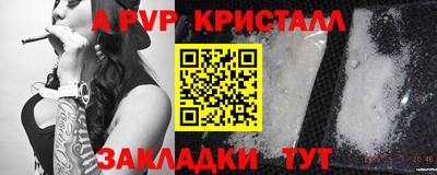 jwh Ярославль