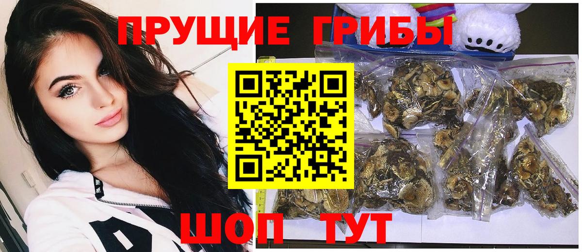 Псилоцибиновые грибы мицелий Белебей